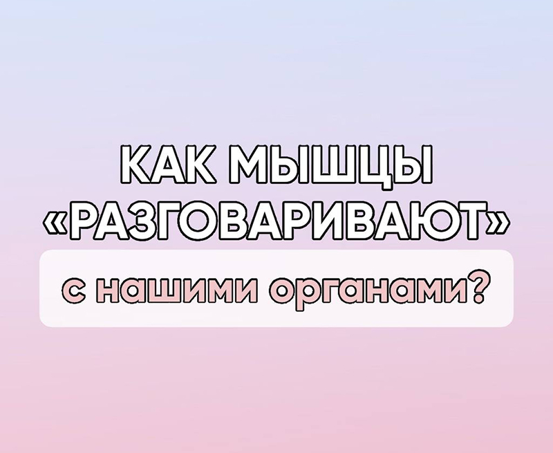 мышцы связанные с органами
